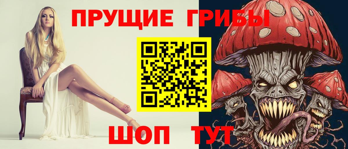 Гай  где можно купить   Вход с VPN  Псилоцибиновые грибы мухоморы 