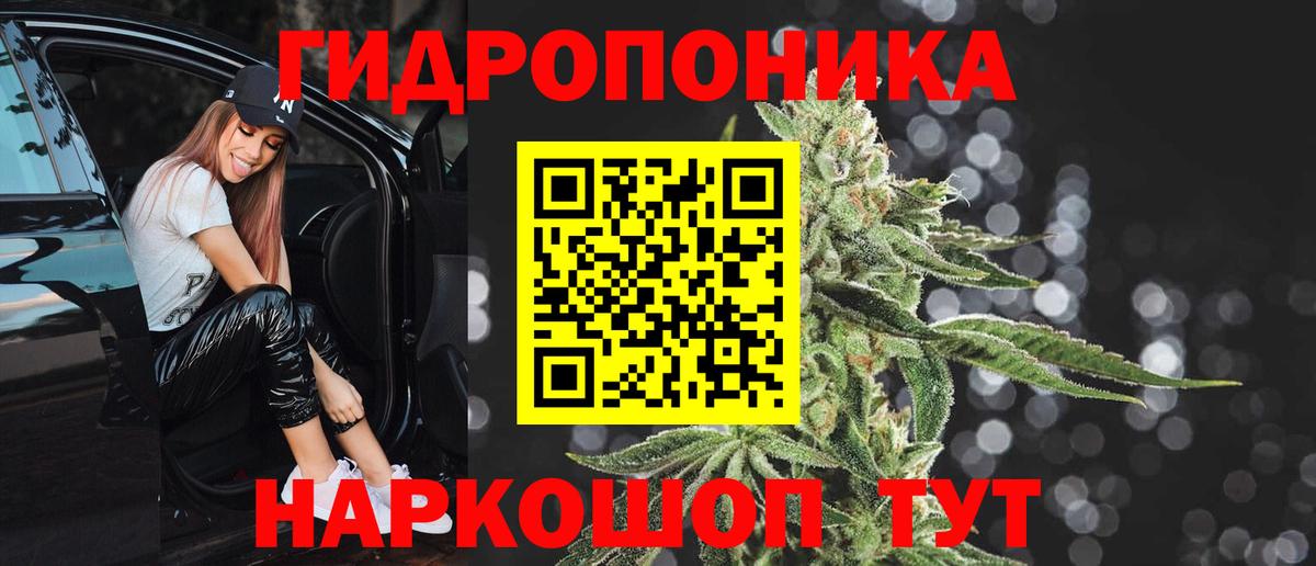Конопля марихуана Гай